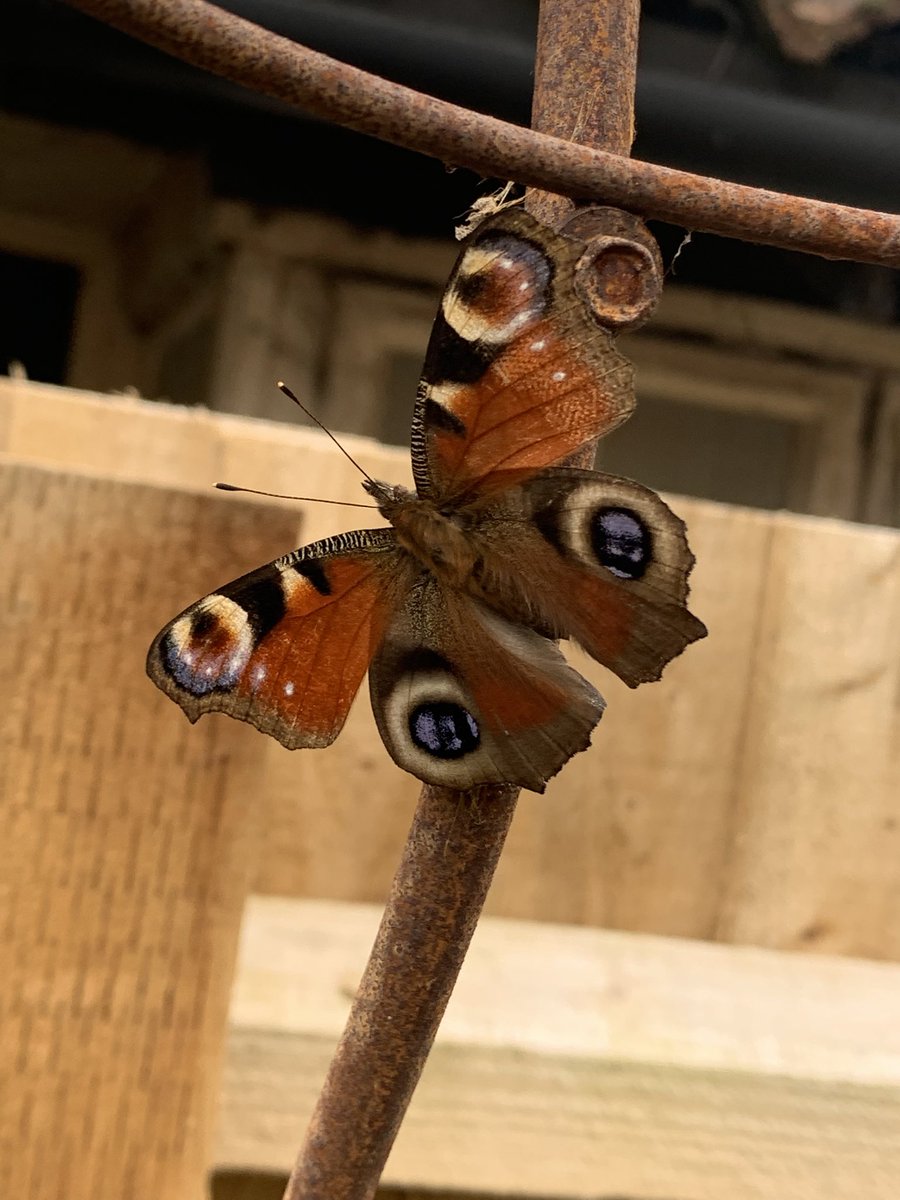 Relax Radio tweet media