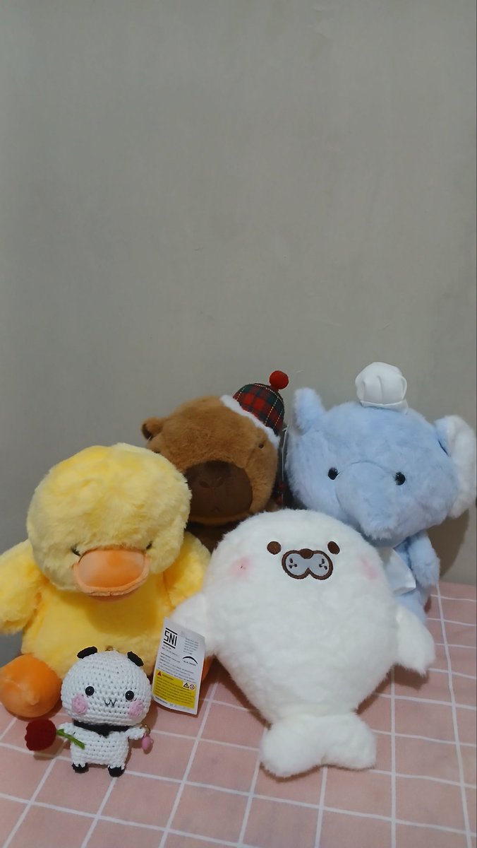 raa || daily life's🌷 tweet media