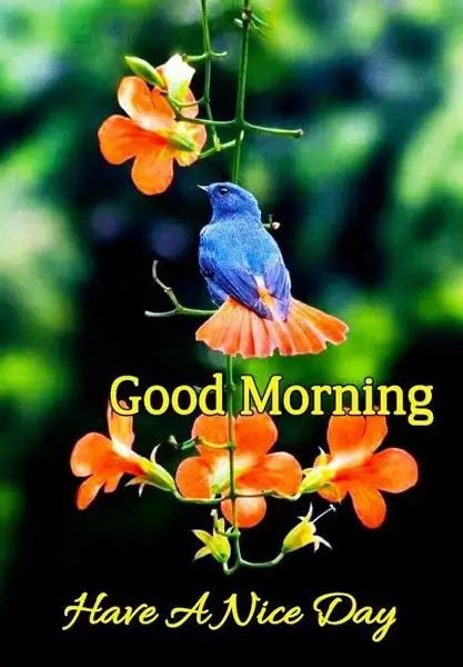 <a href="/Para_Bellum666/">OldMonkey 🇺🇸🇲🇫🇨🇦</a> <a href="/RedTsunami77/">🇺🇸Bandit0077🇺🇸</a> <a href="/Justincaseivn/">Justin Case</a> <a href="/masculine_0rder/">Masculine Order</a> <a href="/The_Bubbadude/">The BubbaDude</a> <a href="/enoch2_elijah/">Your choice</a> <a href="/ib4freespeech/">Segeant Major (Retired) Harvey 🇺🇸</a> <a href="/Playteaux1/">Playteaux</a> <a href="/GunsAddict/">Guns Addict 🇺🇲🇮🇱</a> <a href="/Vin_cent00/">Life🤷‍♂️</a> <a href="/LoneStarHerald/">The Lone Star Herald</a> <a href="/Highwayman75djm/">Danny in Texas 🇺🇸🇺🇸🇺🇸</a> <a href="/DanLoftis2/">Dan Loftis</a> <a href="/CKirkermit/">Charlie Kirkermit</a> <a href="/EagleEyes39536/">EagleEyes</a> <a href="/JusticeGanesh/">Justice for Dr.G 🇺🇸</a> <a href="/Sagger08/">Patrick</a> <a href="/texashoosiers2/">T Miller</a> <a href="/SheriNetz1/">Sheri Netz 🕊</a> <a href="/CharlyMcLeod/">Charly McLeod 🏴‍☠️🦅 🏴‍☠️🦅</a> <a href="/magamike4547/">MAGA MIKE🇺🇸</a> <a href="/CaessyM/">💙🇺🇸💙🇩🇪💙CaessyAndAmanda💙🇬🇧💙🇧🇻💙🦅♱✡️</a> <a href="/mkotts_nary/">Mary Otts ™️</a> <a href="/joa23386/">SouthernNana</a> <a href="/_rockytop_biker/">The Original Grey Beard Biker™ (Michael)</a> <a href="/GabiNga1/">Gabi🌻</a> <a href="/walter_jan93509/">JAN WALTER</a> <a href="/Adam_Vardan_/">Savage 🦅American 🇺🇸</a> <a href="/MichaelNix7314/">Michael Nix</a> Good Morning PB!  Thank you for the 
add, my kind friend.
Connect with <a href="/Para_Bellum666/">OldMonkey 🇺🇸🇲🇫🇨🇦</a> 
<a href="/RedTsunami77/">🇺🇸Bandit0077🇺🇸</a> 
Reposted
I’ll invite:
<a href="/LUVZ737777/">LUVZ737</a> 
<a href="/BlueMarlin47/">BlueMarlin47</a> 
<a href="/dunky_gers9/">dunky.rfc</a> 
<a href="/LindaNTx/">🐝 Linda</a> 
<a href="/Bagel69er/">🇺🇸🇺🇸🇺🇸Bagel Colorado❤️🤍💙</a> 
<a href="/_kitty_hawk/">kittyhawk</a> 
<a href="/Wolfways44/">Wolfways 🇺🇸🐺</a> 
<a href="/PURE_BL00D2/">💥⚜️ S I G ⚜️💥</a> 
<a href="/onesmallvoice/">OneSmallVoice 🇺🇸🇺🇸🇺🇸</a> 
<a href="/KrockofAges/">꧁𝓚𝓻𝓸𝓬𝓴𝓸𝓯𝓐𝓰𝓮𝓼꧂ 🏴󠁧󠁢󠁥󠁮󠁧󠁿🇬🇧</a> 
<a href="/SHERRYSLANE/">Sherry🌺</a>