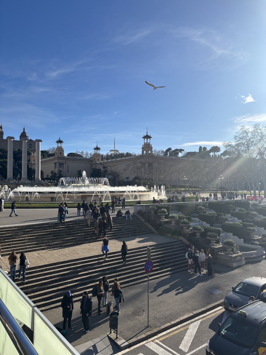 MFL DEPT OLCHS tweet media