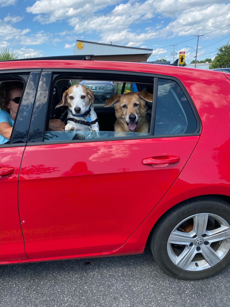 🇨🇦Oskar & Stanley 🇨🇦☮️ tweet media
