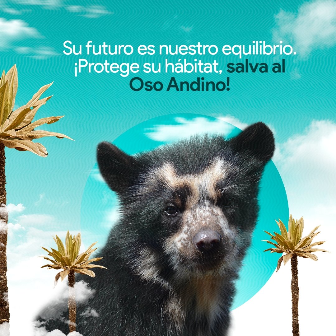 Cormacarena tweet media