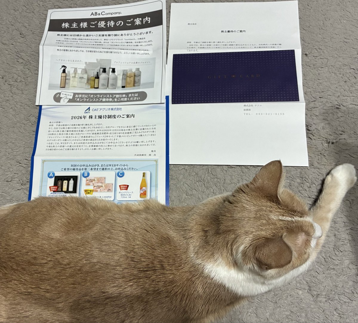 Lucca_Latte's tweet image. 株主優待✨
🩶AB&amp;amp;Company
🩶OATアグリオ
🩶ナフコ

少し前に届いていた優待😊

放置していたから申し込み期限が迫っているものがありそう😆

これから他の株式封書も開封していきます💦

#株主優待 #AB&amp;amp;Company #OATアグリオ #ナフコ #2026年