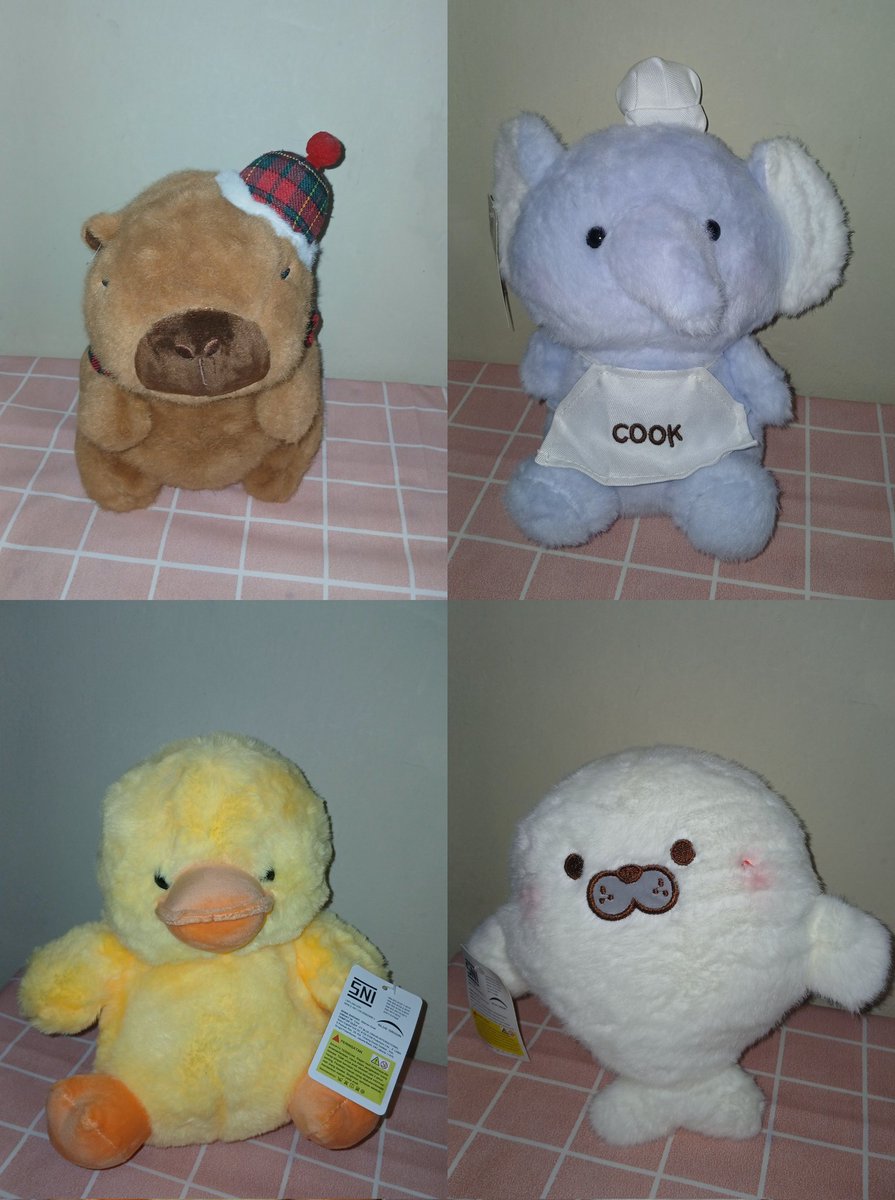 raa || daily life's🌷 tweet media