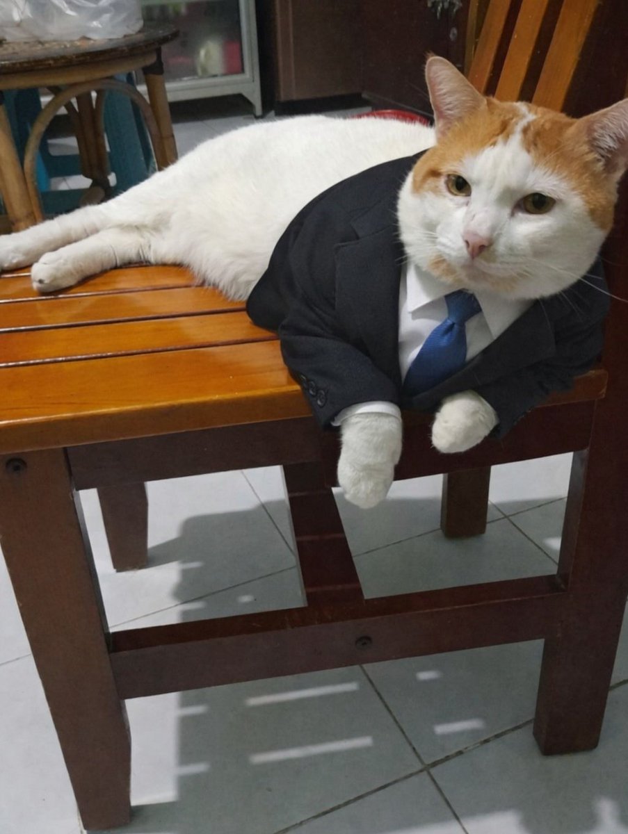 Guyysssssss, Jadi selama ini Mba ga tauu KALAU Aku adalah CEO yang sedang menyamar 😎