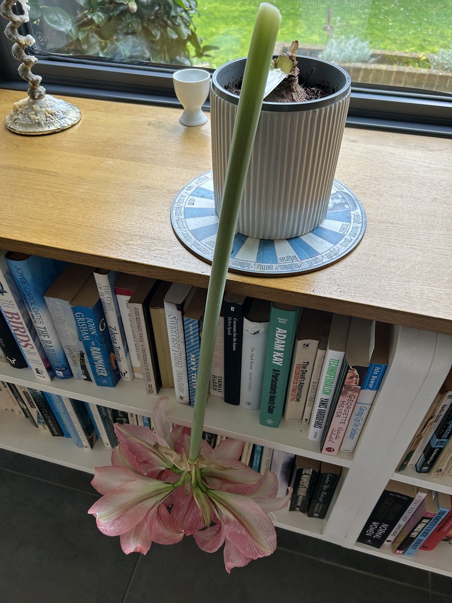 Greg Mosse tweet media