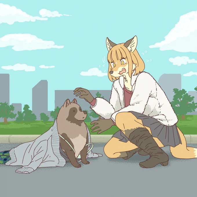 戻ったタヌキ