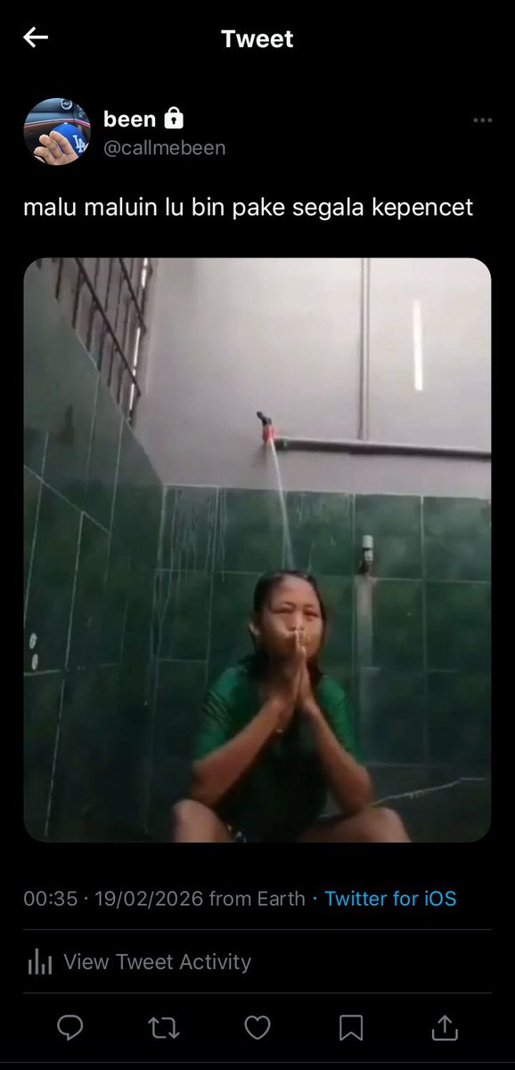 lily 🎀 tweet media