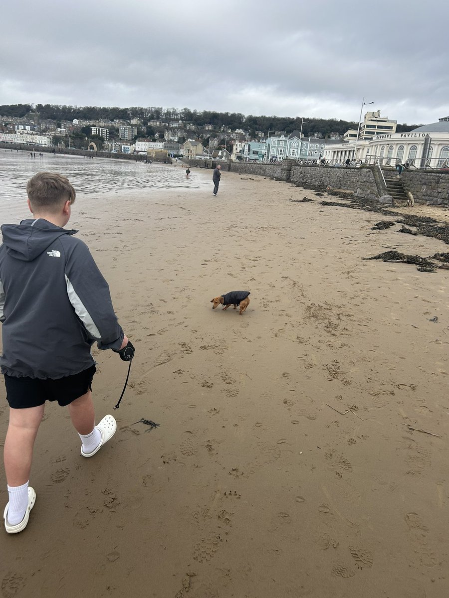 Jamie Barry tweet media