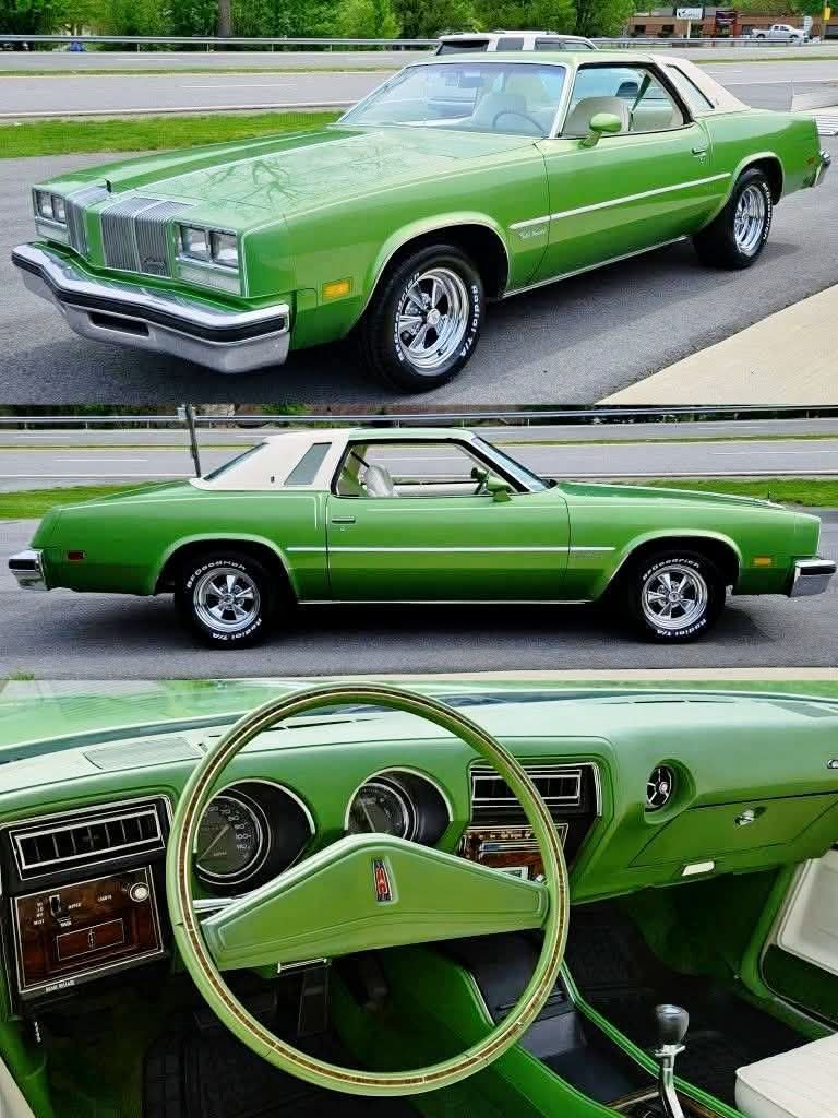 🏁 𝔹 ℝ 𝕀 𝔸 ℕ 🏁 tweet media