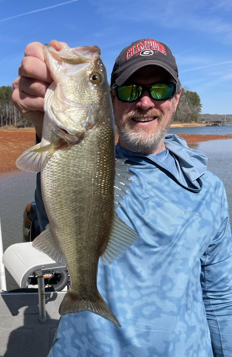 toccoatom's tweet photo. Happy Saturday! Since I did so well Thursday, I snuck out for a few hours yesterday afternoon and caught 17 more including a couple of oddballs 🎣 A 9lb carp on an 1/8 oz swimbait was a surprise! Ended up with over 100 lbs of bass in 10 hours of fishing over the 2 days. Not bad🎣 https://t.co/YZaIzZpFsZ