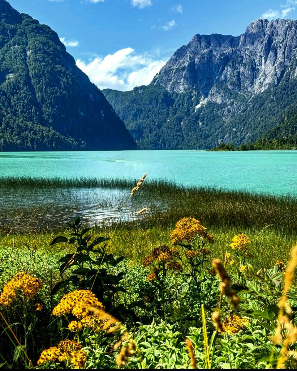 ¡Buen día! ¡Un paisaje que te roba el alimento y te llena el alma!😍
Lago Frías. Puerto Blest. 
Patagonia 🇦🇷🧉💚