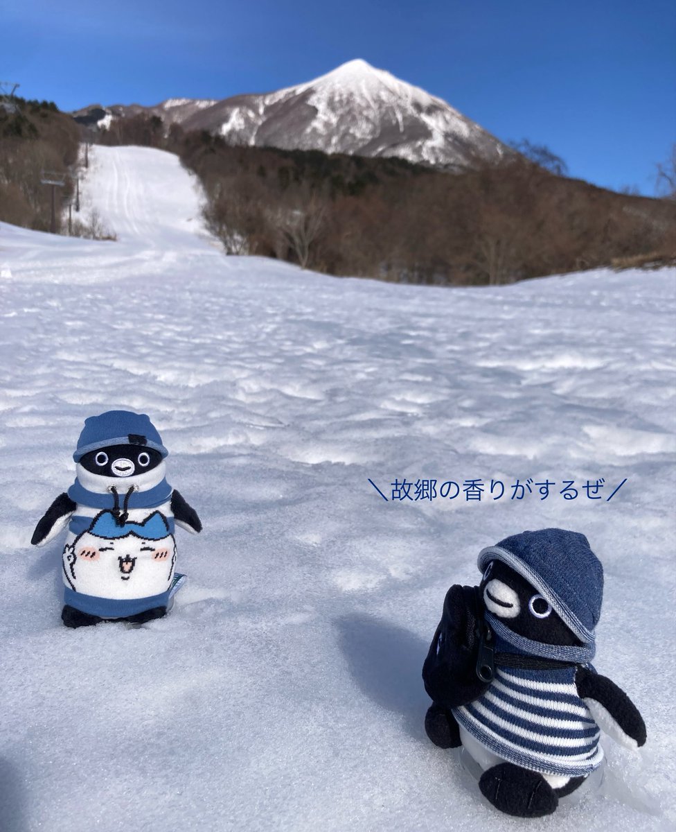 氷を得たペンギンズ