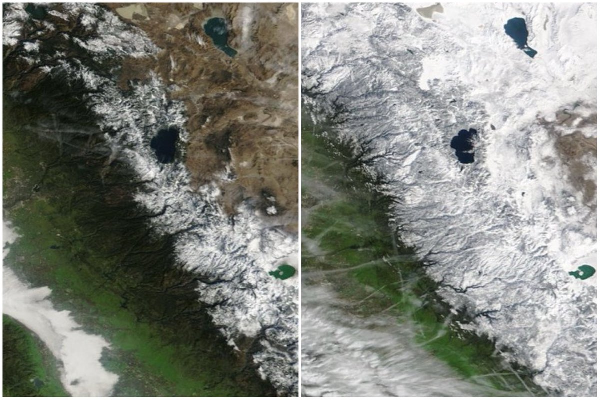 Justin Michaels tweet media