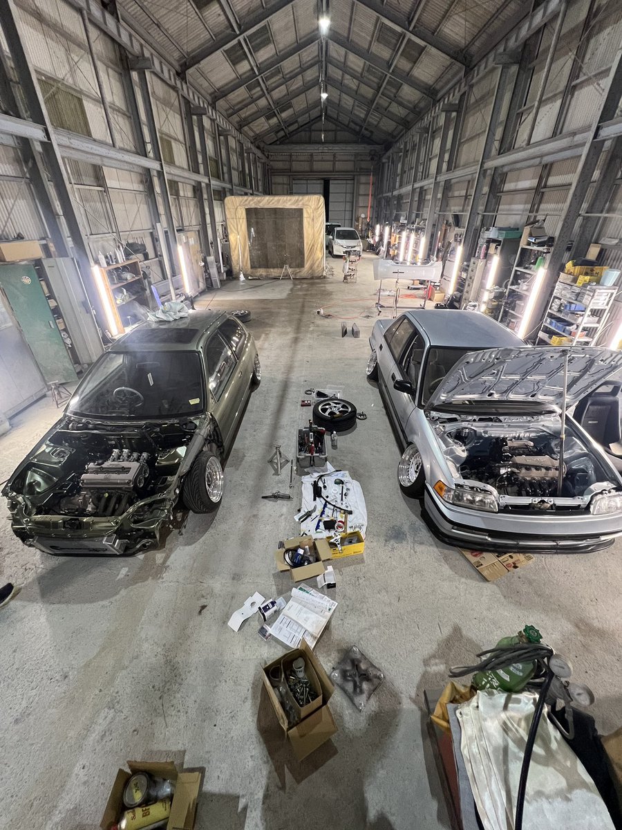 🌴🌴トイボのグリーンさん🌴🌴 tweet media