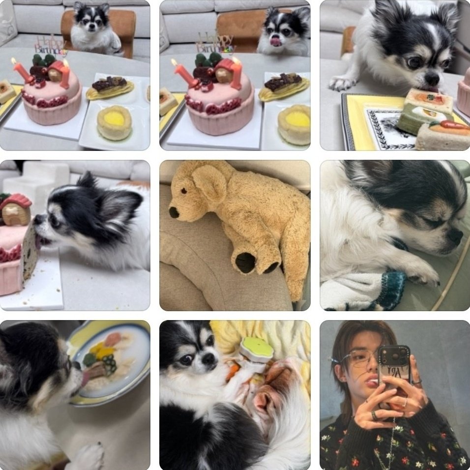 인스타                                                  버블