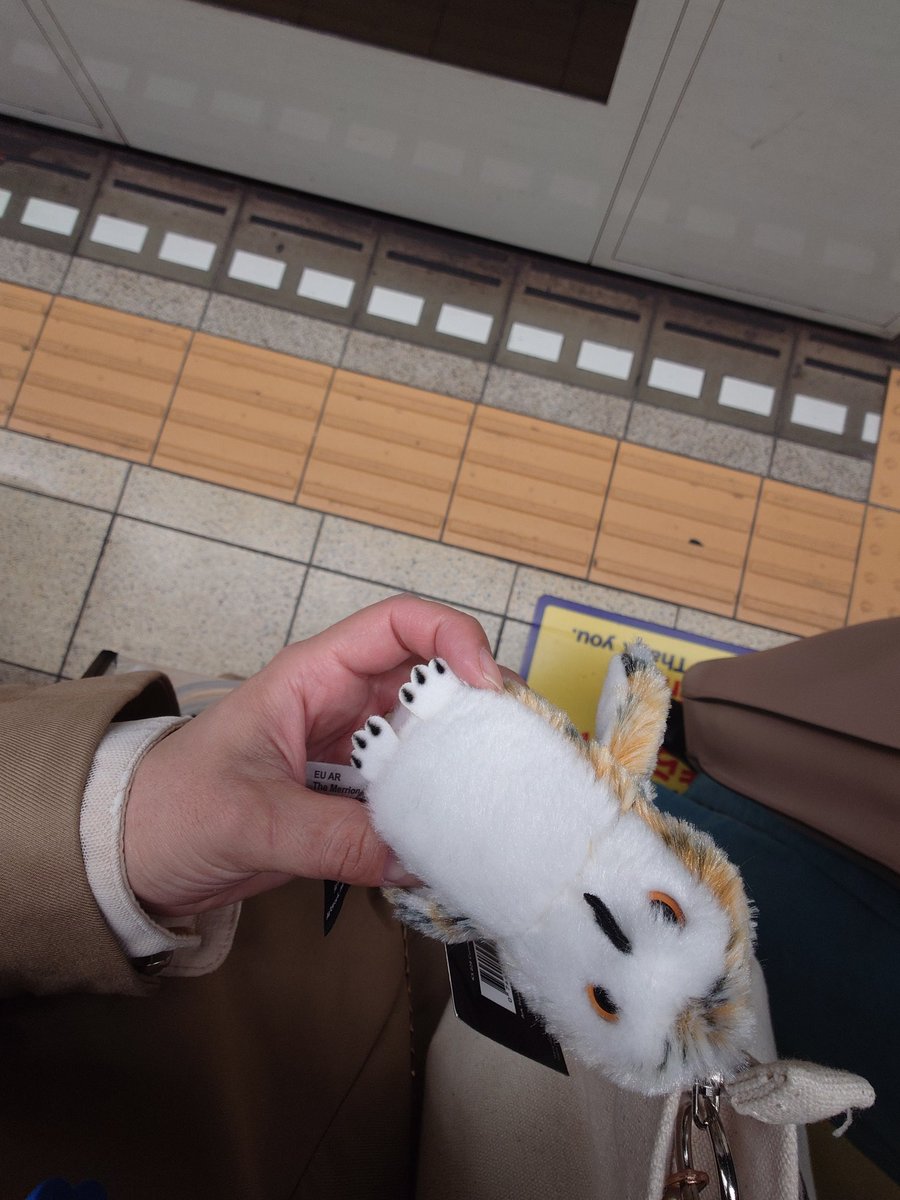 ぷゥ@お部屋魔法界計画 tweet media