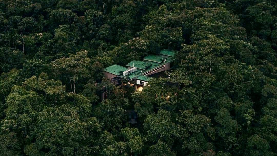 Mateo Estrella tweet media