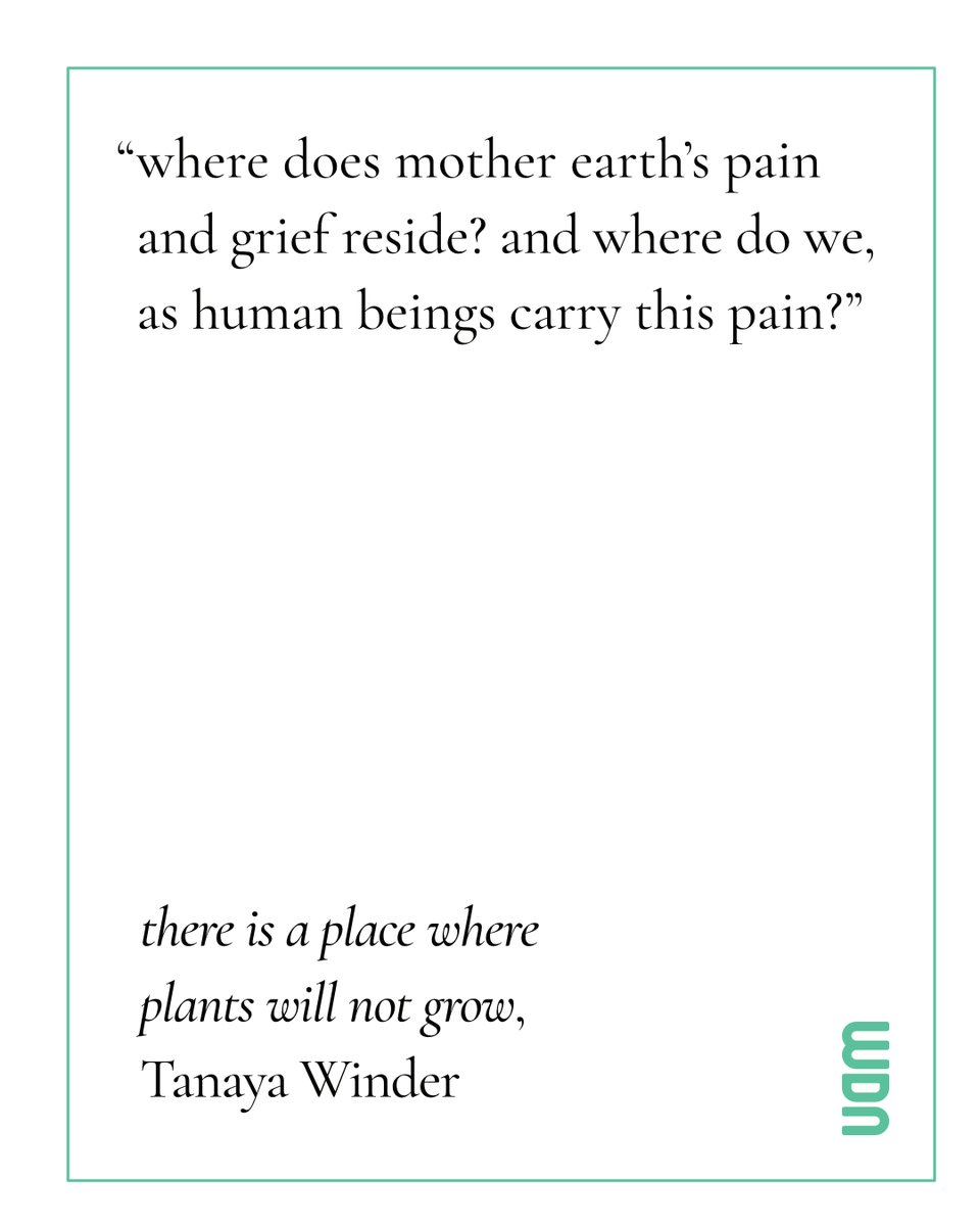 WILDNESS. a literary journal tweet media