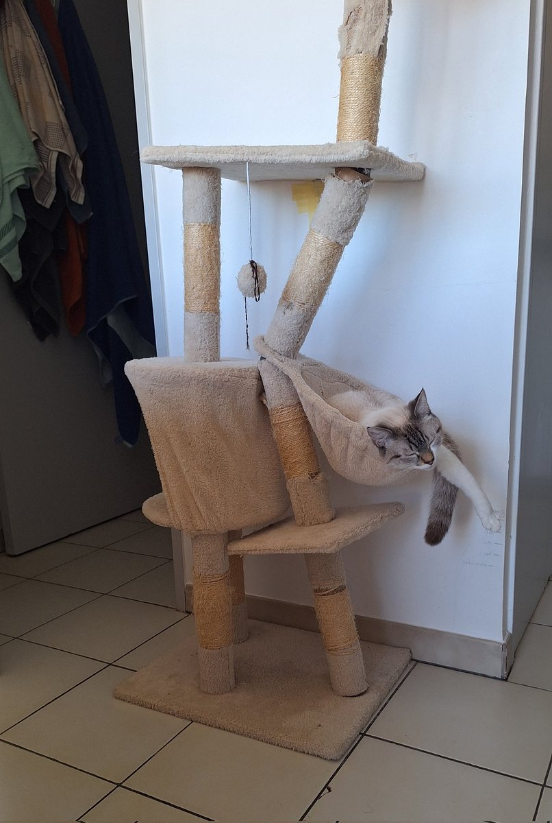 Elle REFUSE de se faire une raison