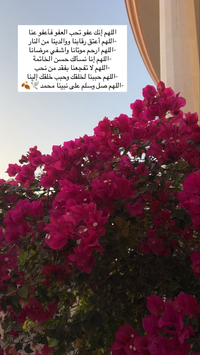 اللهم إنك عفو تحب العفو فأعفو عنا
-اللهم أعتق رقابنا ووالدينا من النار
-اللهم ارحم موتانا واشفي مرضانا
-اللهم إنا نسألك حسن الخاتمة
-اللهم لا تفجعنا بفقد من نحب
-اللهم حببنا لخلقك وحبب خلقك إلينا
-اللهم صل وسلم على نبينا محمد