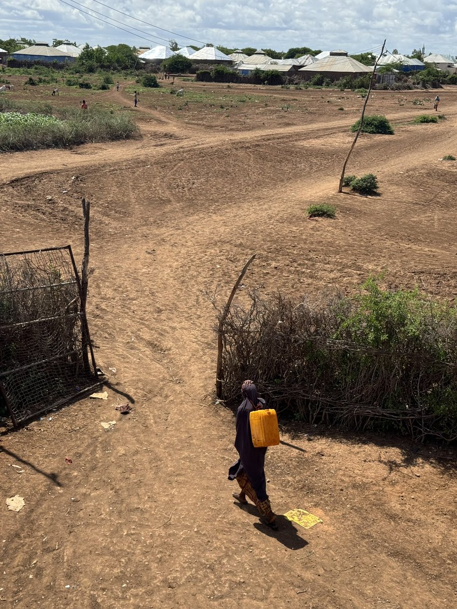 New Ways Organization tweet media