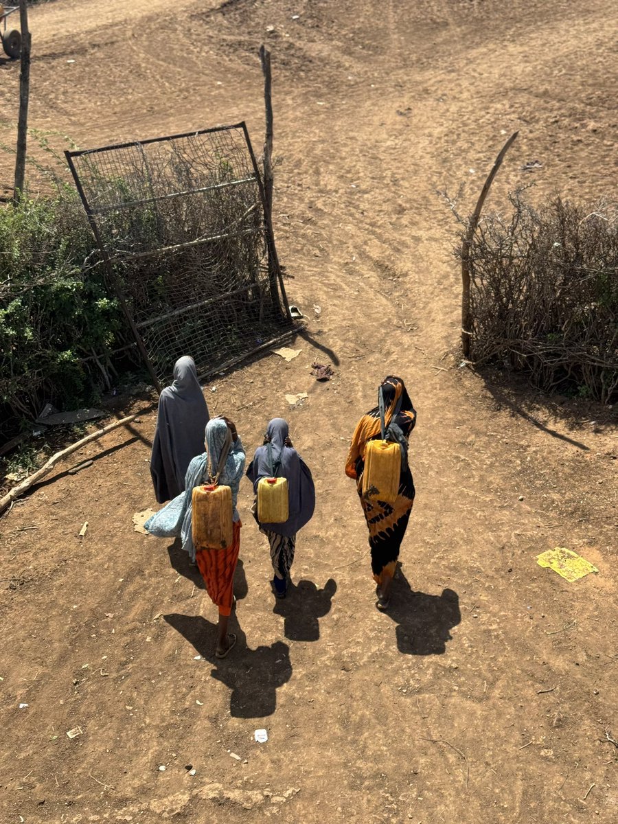 New Ways Organization tweet media