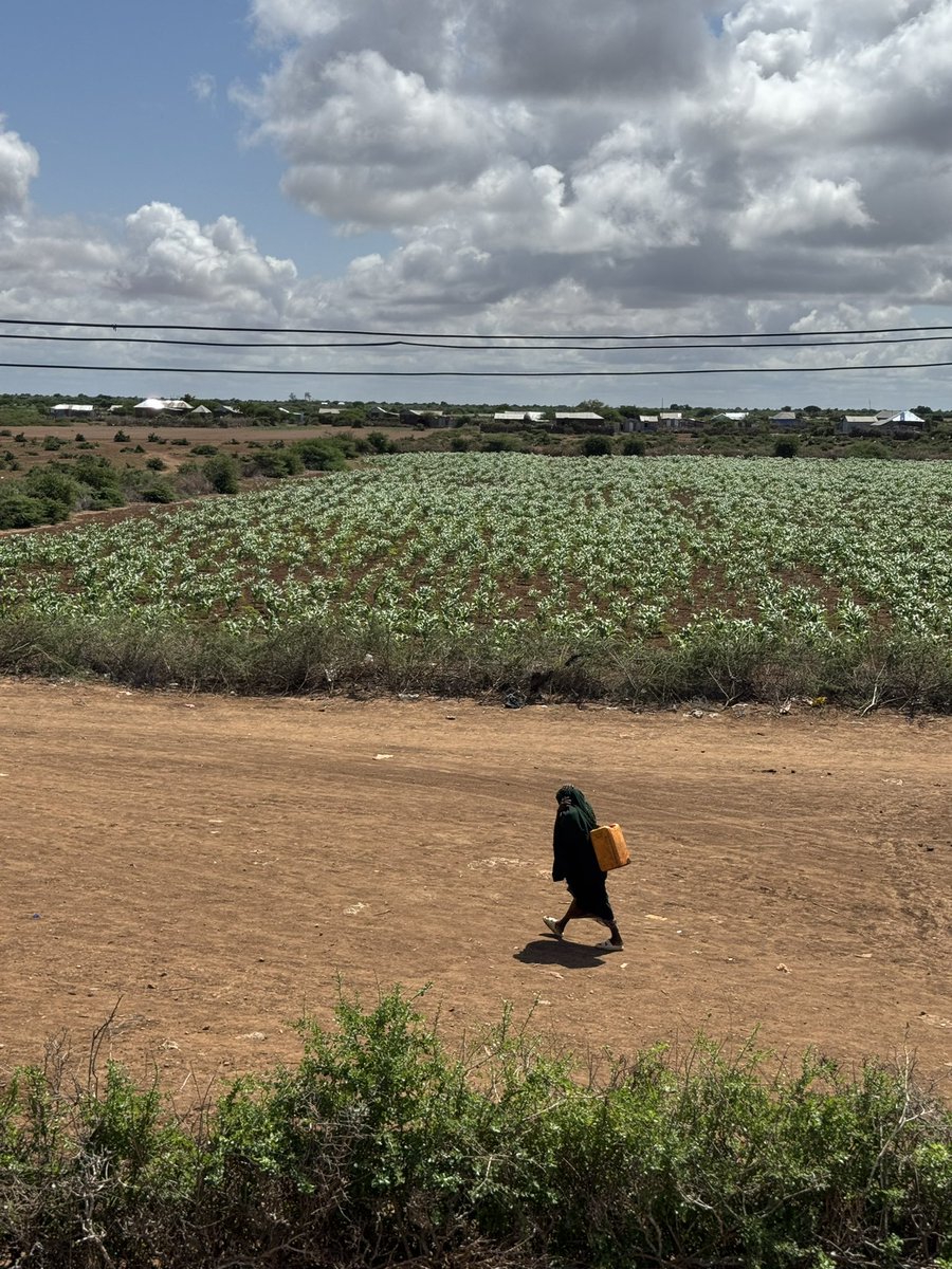 New Ways Organization tweet media