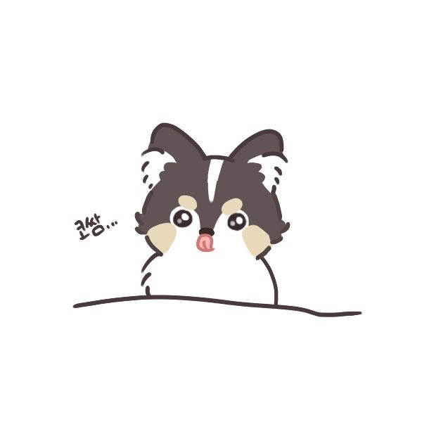somedog__'s tweet image. 코쌈까미