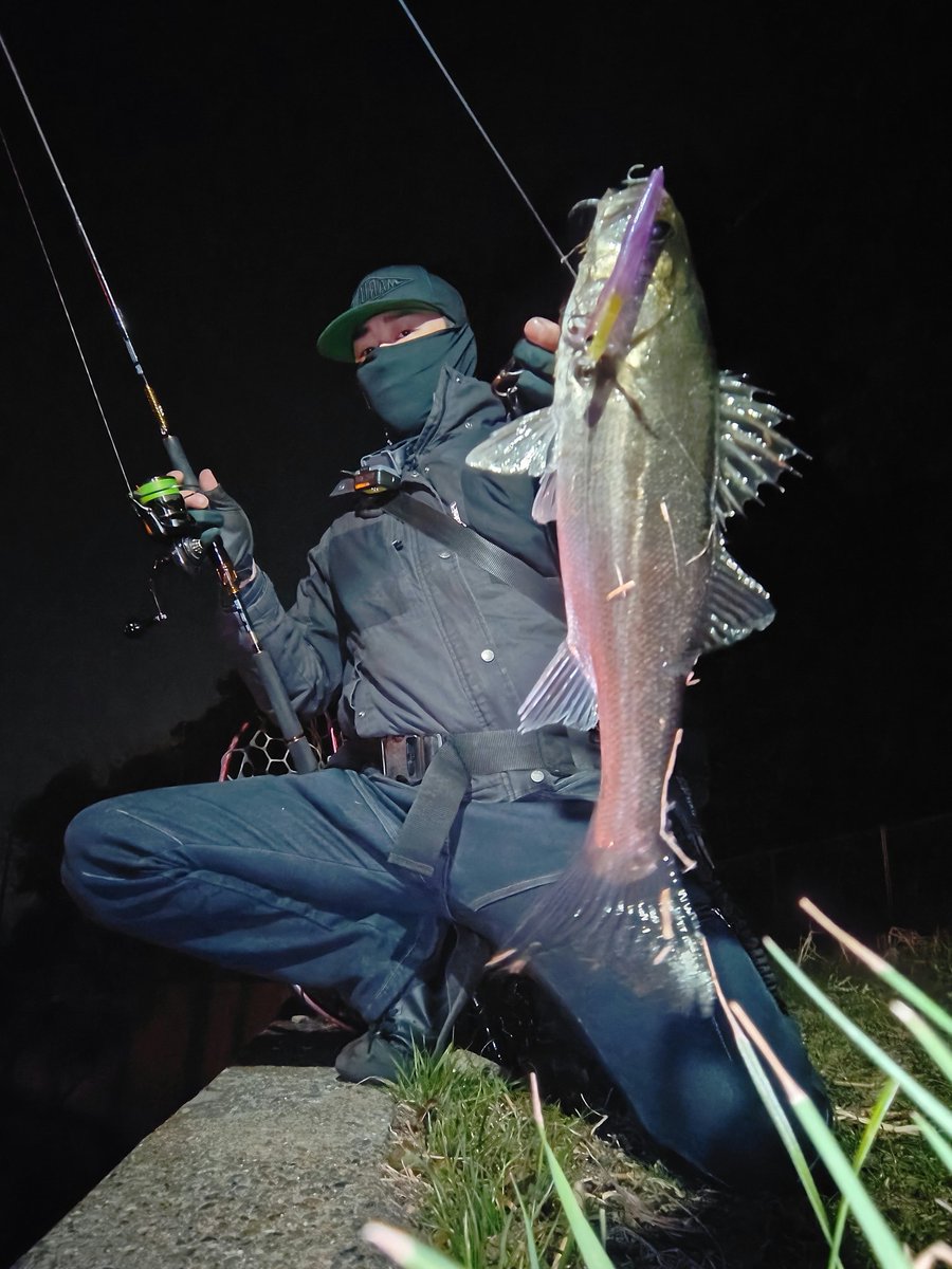 大野ゆうき (@ohnoyuki_tokyo) / Posts / X