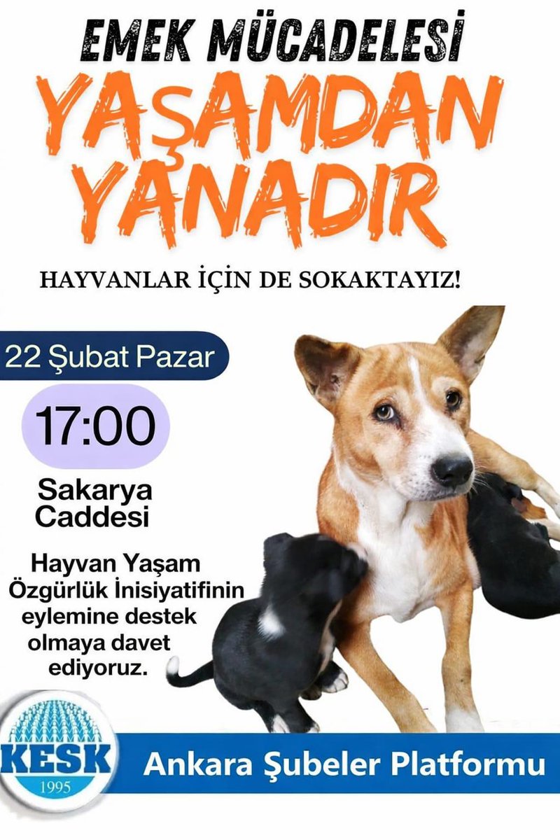 Hayvan Yaşam Özgürlük İnisiyatifinin eylemine destek olmaya davet ediyoruz.