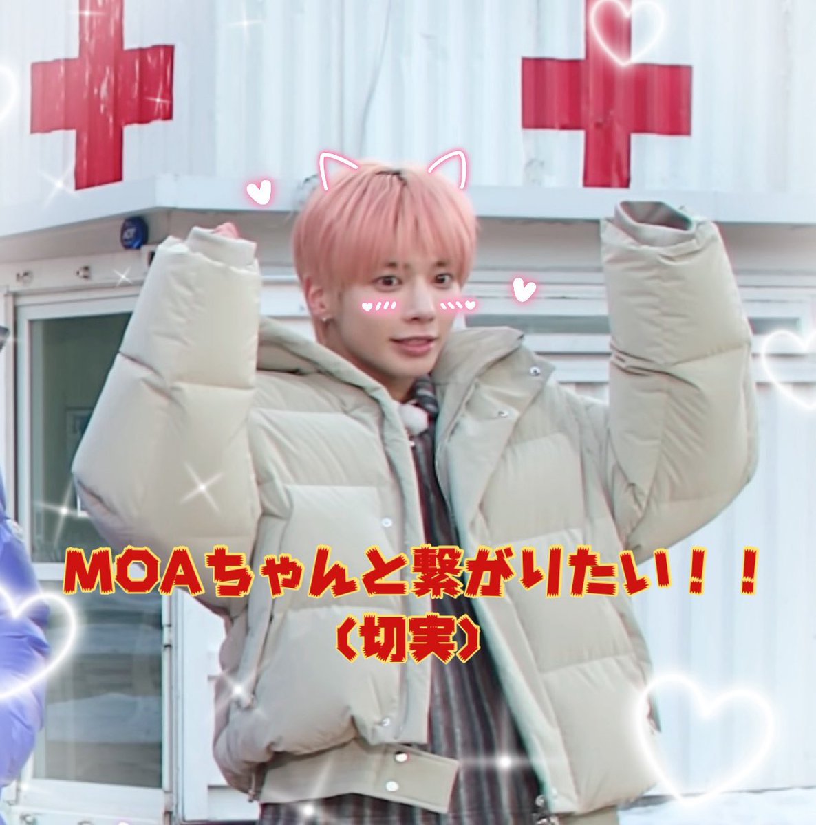 ദ്ദി^._.^) tweet media