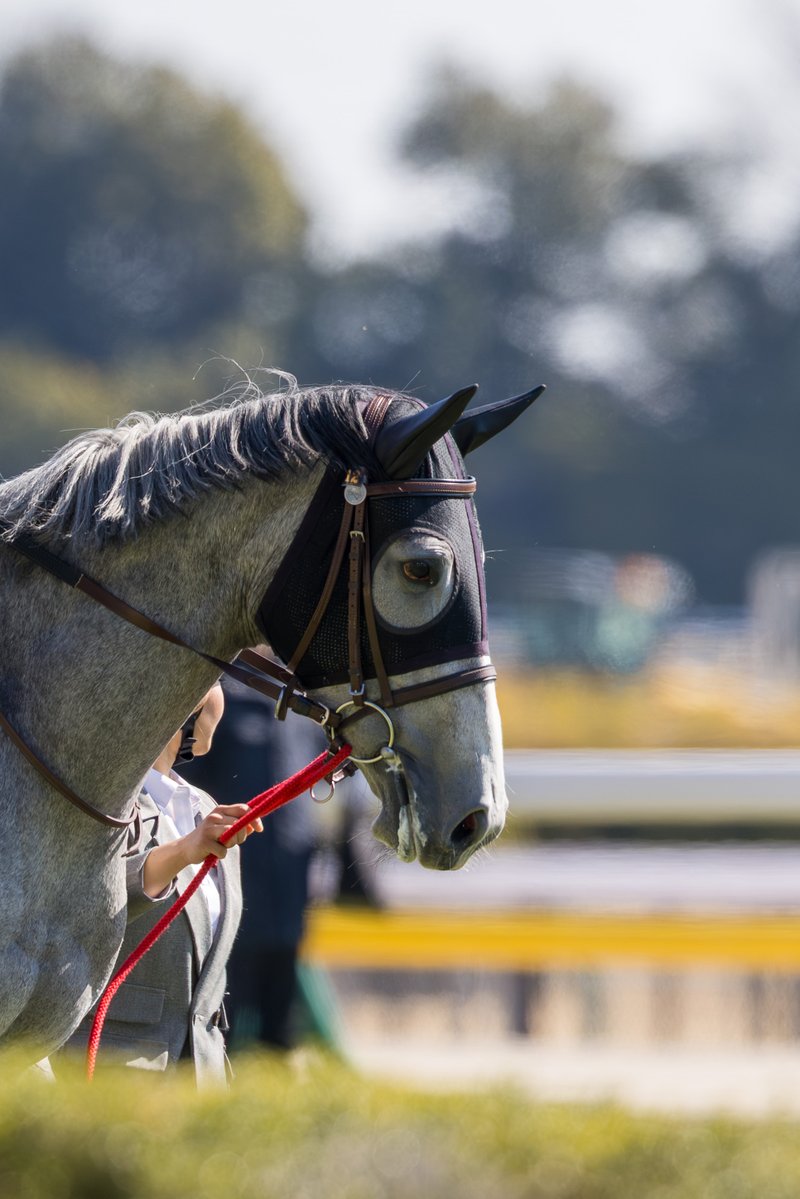 くろもも (@kuroromomota) / Posts / X