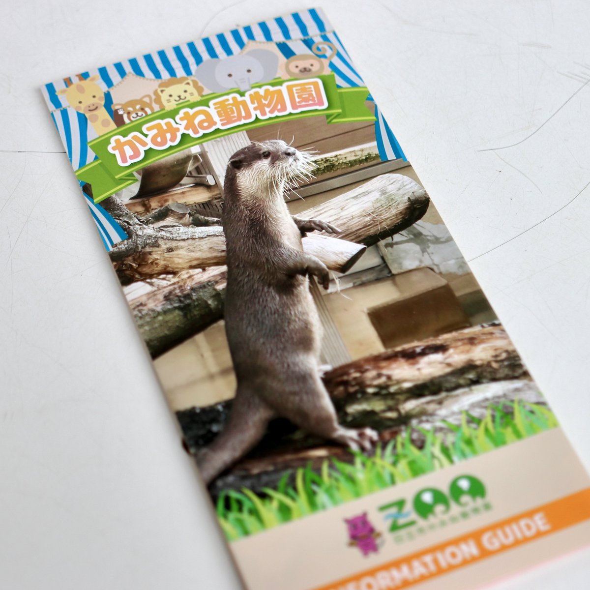 新しいパンフレットが 配布され始めていました 自身の撮った写真が載っ