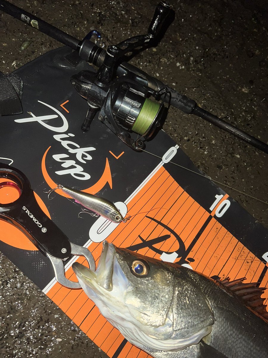 釣果 ルアー：ワスプ80S バチ抜け狙ったけど、シーバス不在だったので