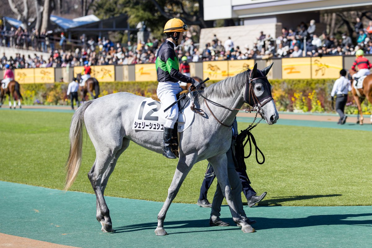 くろもも (@kuroromomota) / Posts / X