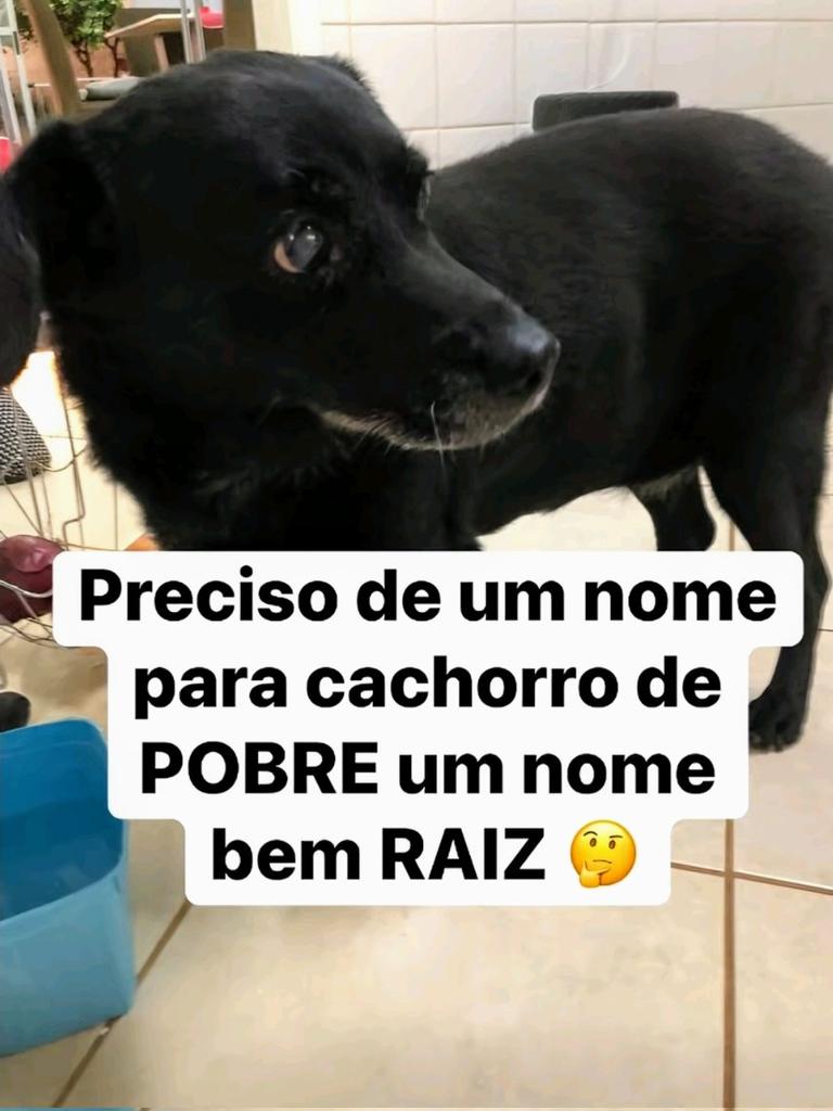 Leonel Ferreira -mais justiça para o BRASIL⚖️♎🇧🇷 tweet media