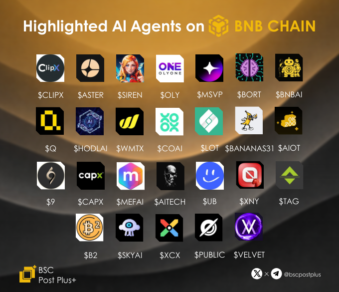 BSC Post Plus tweet media