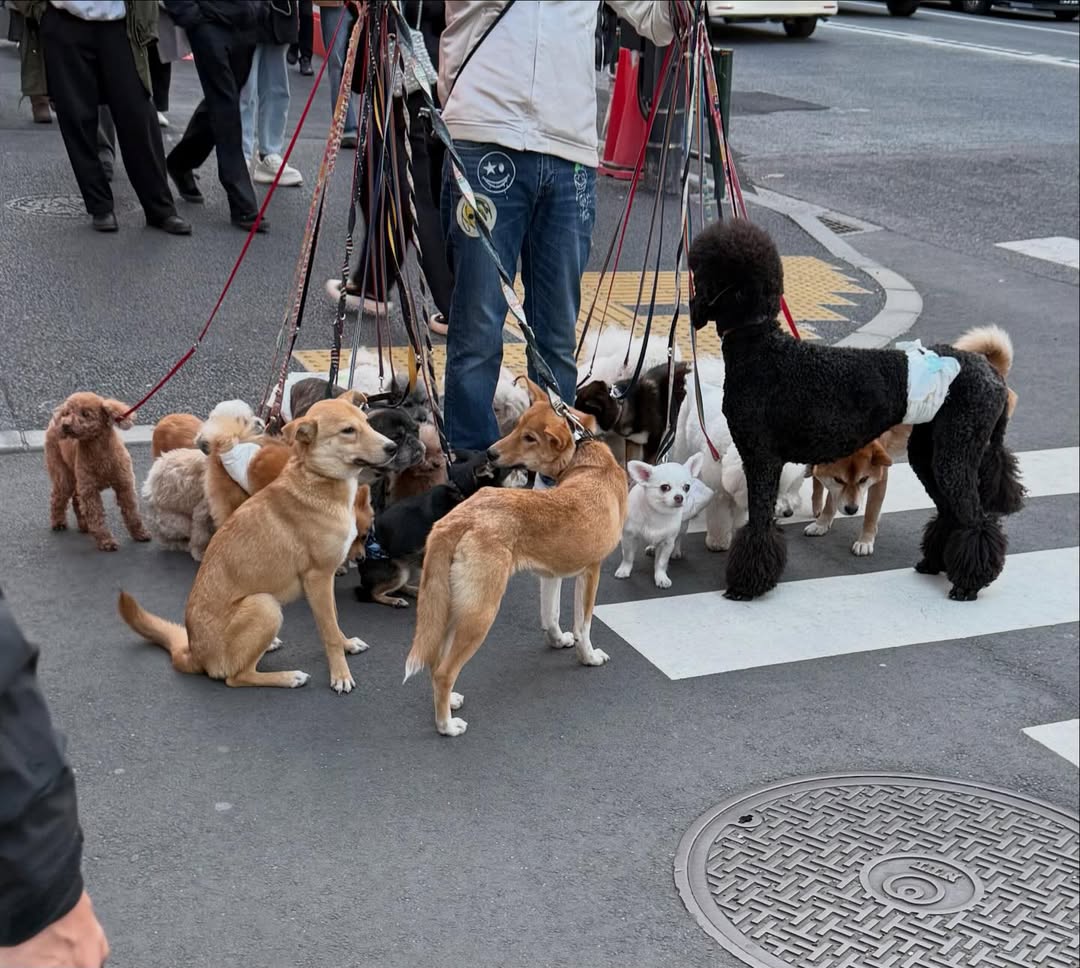 @ yuu_yuu_64's IG Upload 2026.02.21

instagram.com/p/DVBbTP5El9P/…

#parkyuchun #yuchun #ユチョン #박유천