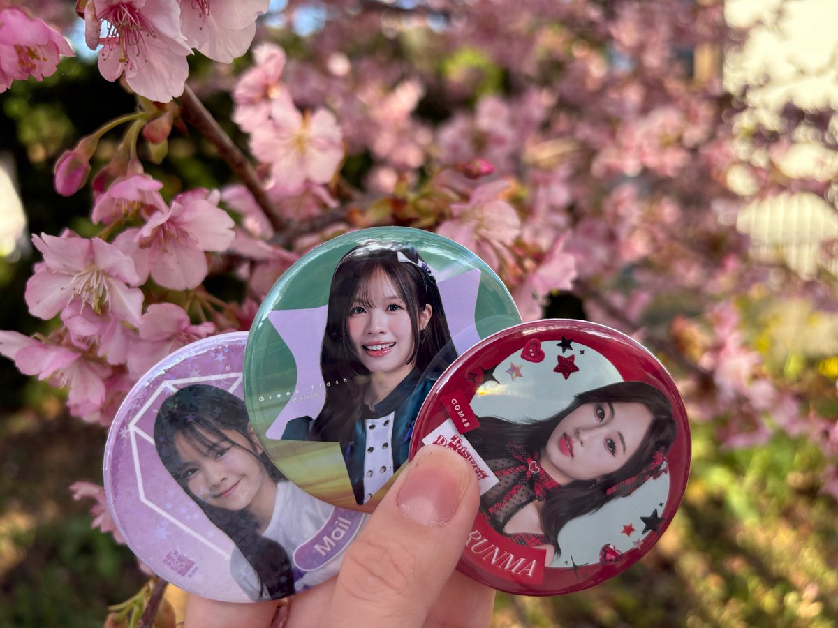 ええもちろん！！！ タイは缶バッジ文化です🇹🇭 推したちを日本の桜に