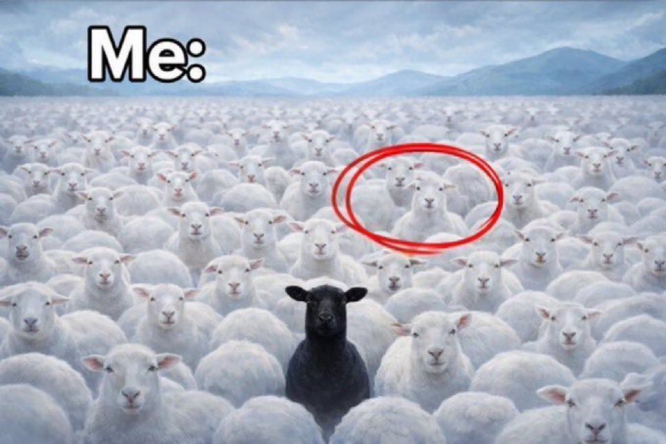 A meme that has gone viral all over the world like this can't end that easily.

This can be used in a variety of ways.

I believe in $me.
3wshHmD3aBx3wfHPeGWq2o38BNpVaEf7iFf3gYgRpump