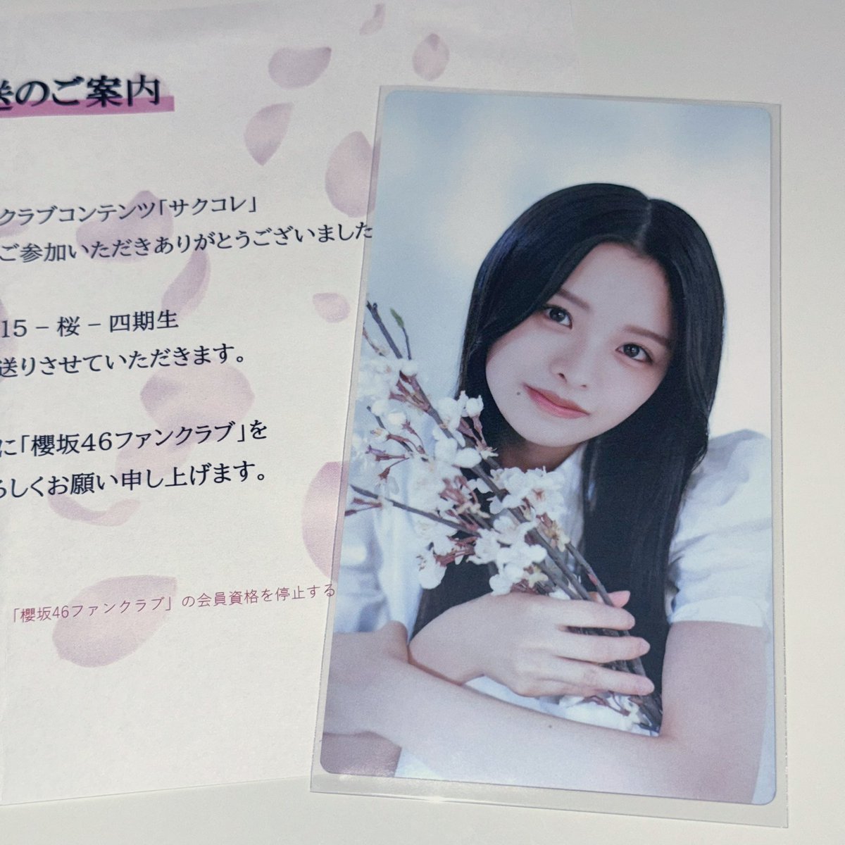 浅井恋乃未ちゃん　直筆生写真 サクコレの恋乃未ちゃんお迎えしたᐡ-ﻌ•ᐡฅ୭ #浅井恋乃未 #サクコレ