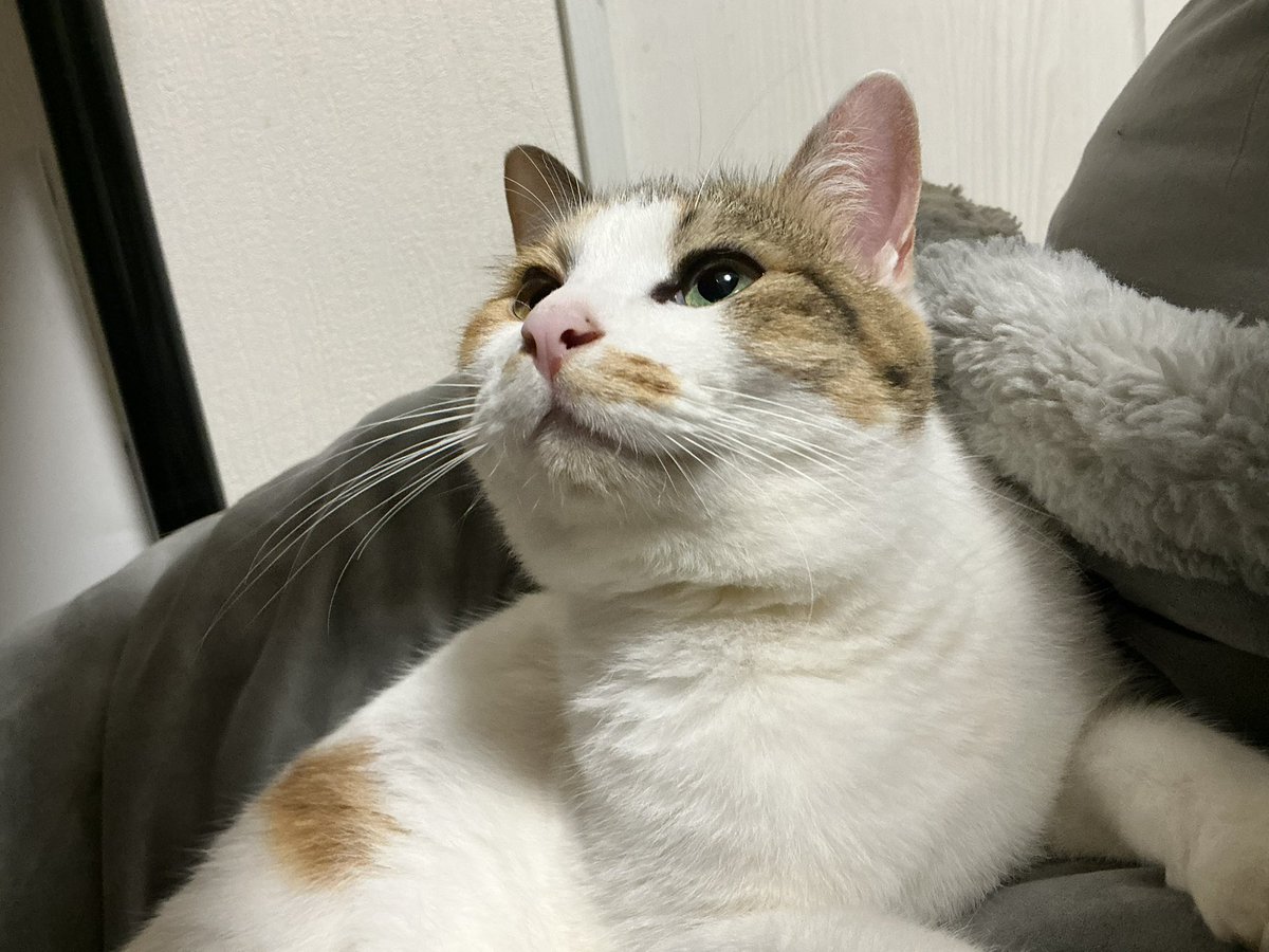 ただいま。
明日はお休みだから一緒にいましょう。