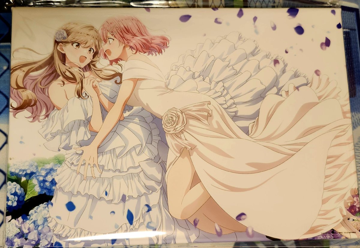 わたなれグッズ届いた📦 れなかほ可愛い💖 あじれな美しい✨