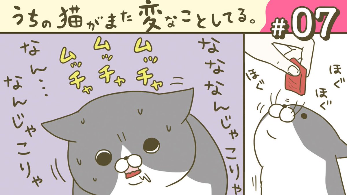 うちの猫がまた変なことしてる。」ボイスコミック第7話が公開されまし