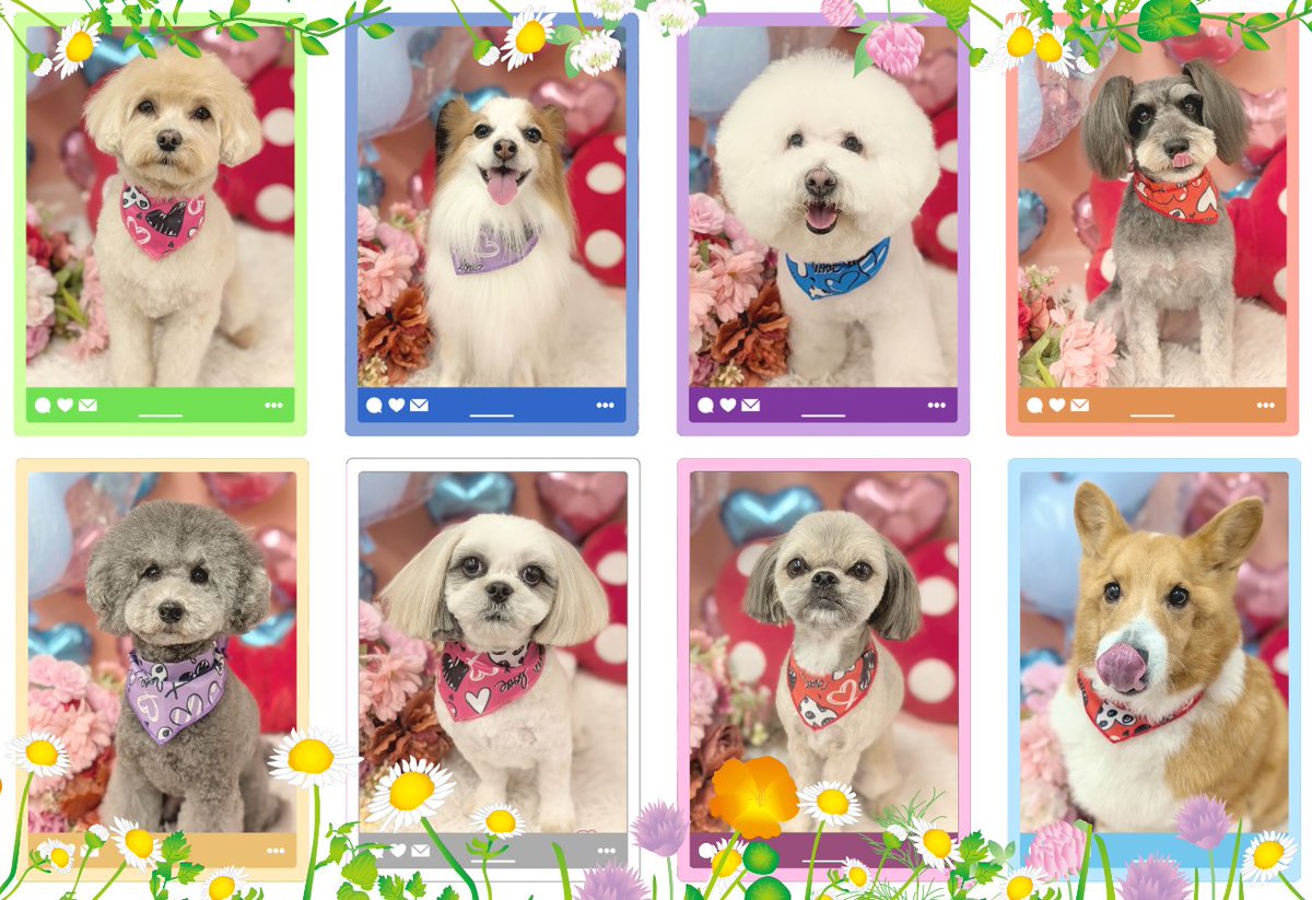 ポメラニアン、柴犬、マルチーズ、トイプードル、シーズ、チワワとシマエナガパネル