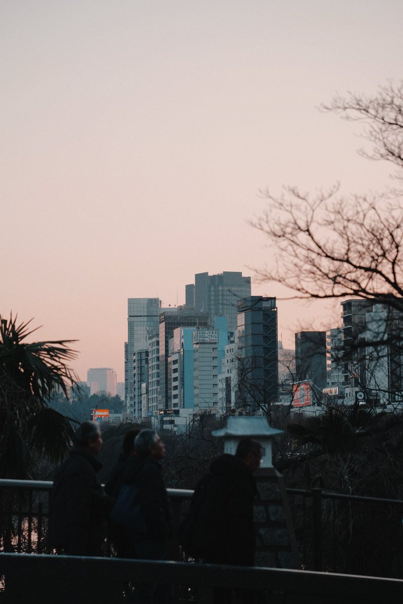 Tamron 28-200でスナップするのやはり楽しい 広角も望遠もいけるから惹