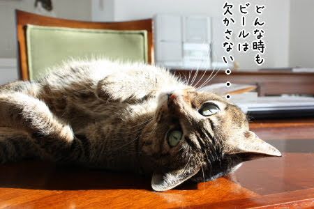 🌸#一番搾りが春をお知らせ