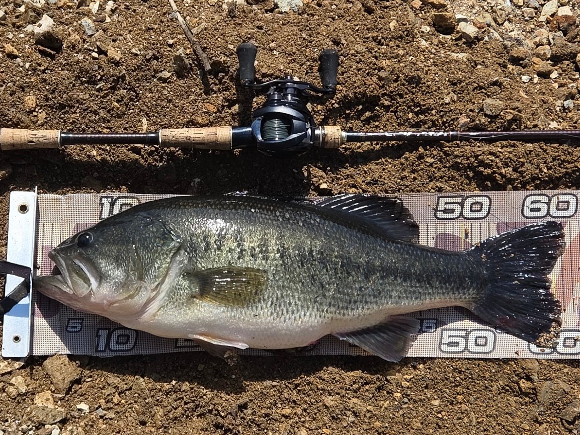 ふうりゅう tweet media