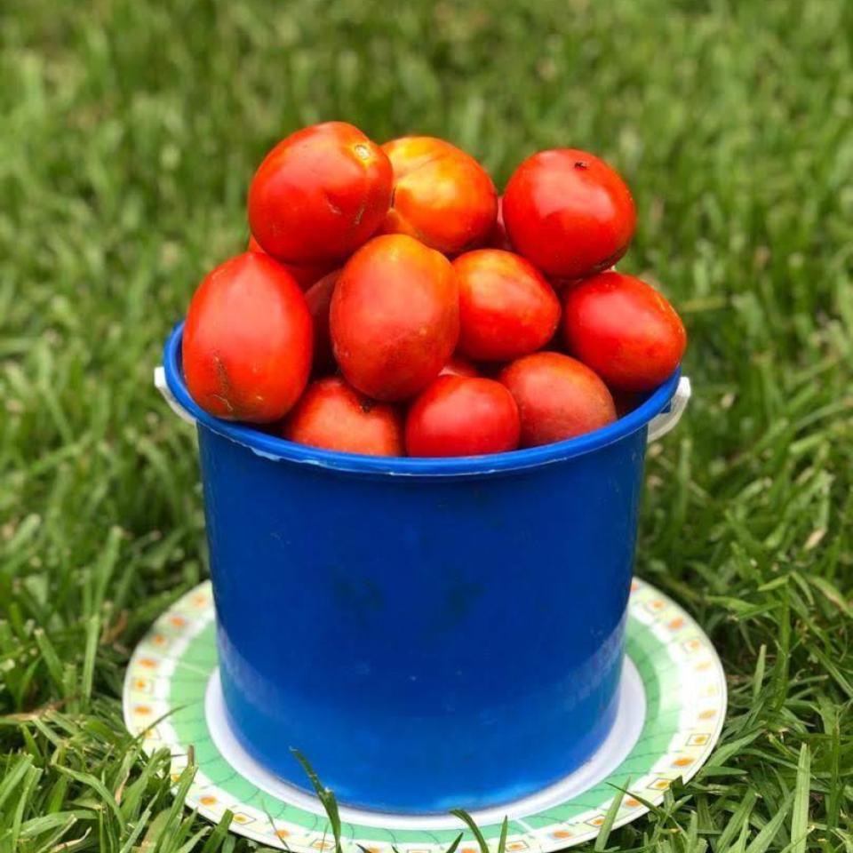 Gen. Buhari tweet media